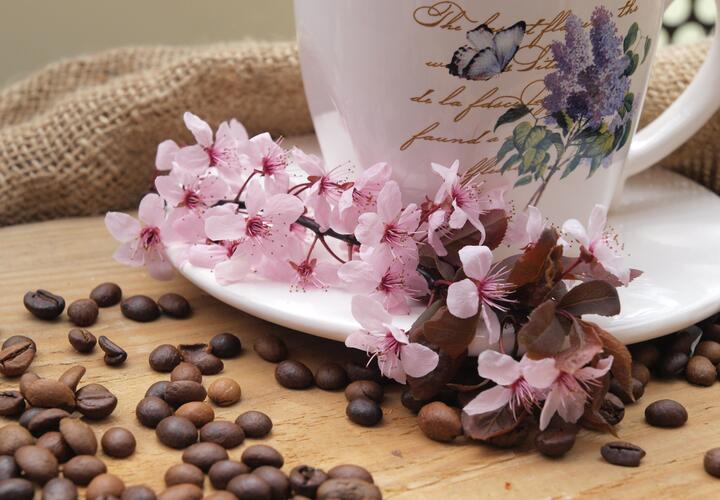 Нефтебаза загорелась после атаки беспилотников, девять человек умерли из-за мяса черепахи: что произошло, пока вы спали