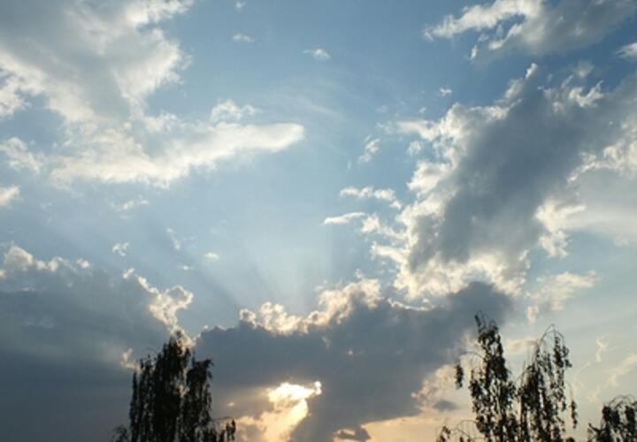 Нестабильная погода с туманами: синоптики дали прогноз на 24 марта