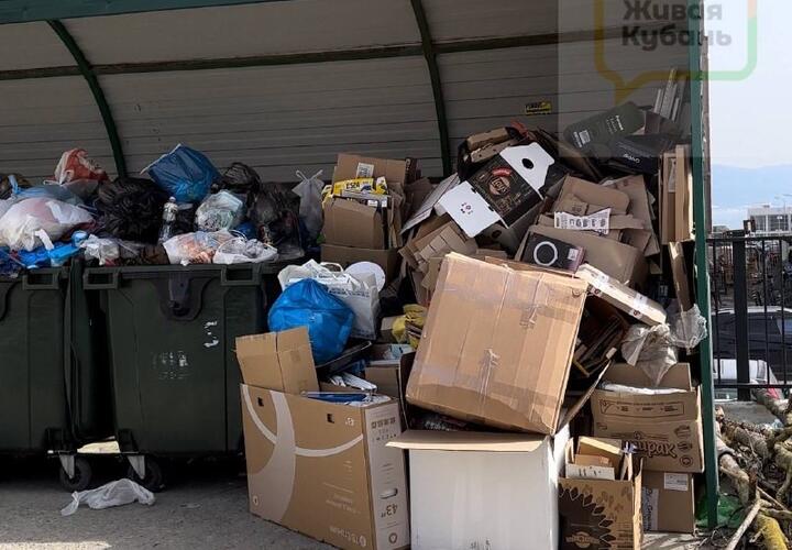 Никто не убирает: новороссийцы вынуждены жить среди гор мусора