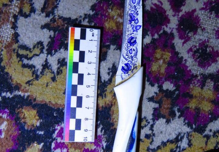 Нож в цветочек: в Крымском районе домохозяйка зарезала бывшего мужа