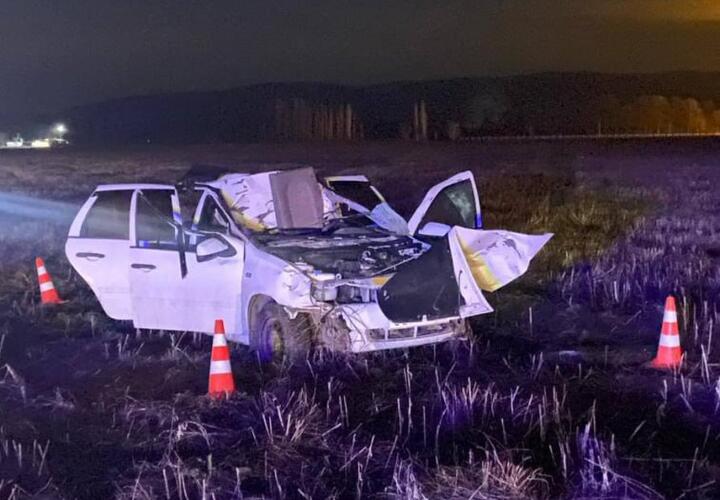 Один человек погиб и несколько пострадало из-за лошади в Адыгее