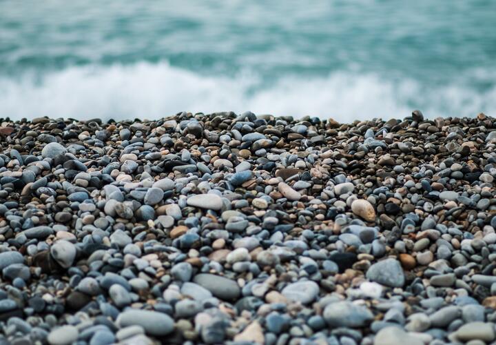 Останки акулы обнаружили на пляже Новороссийска