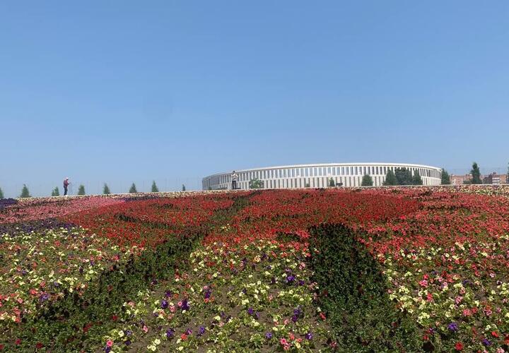 Парк Галицкого снова удивил: в нем появилась картина из 160 тысяч цветов