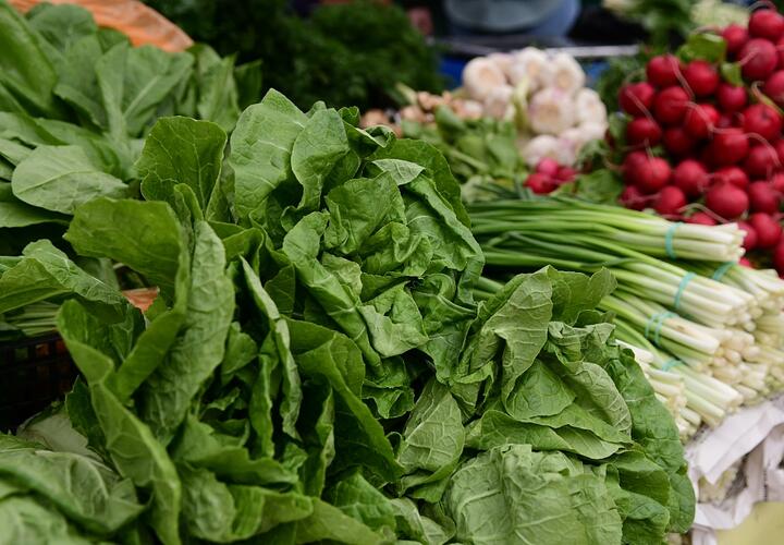 Первые весенние овощи начали продавать на сельскохозяйственных ярмарках Краснодара