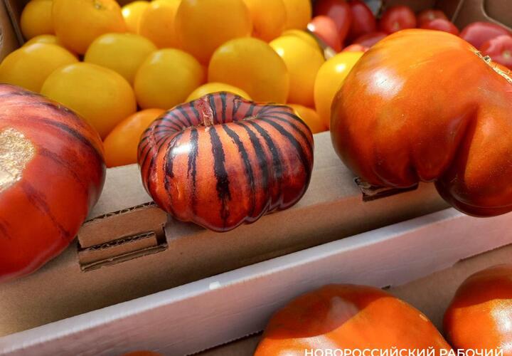 Помидоры в полоску появились на рынках Новороссийска 