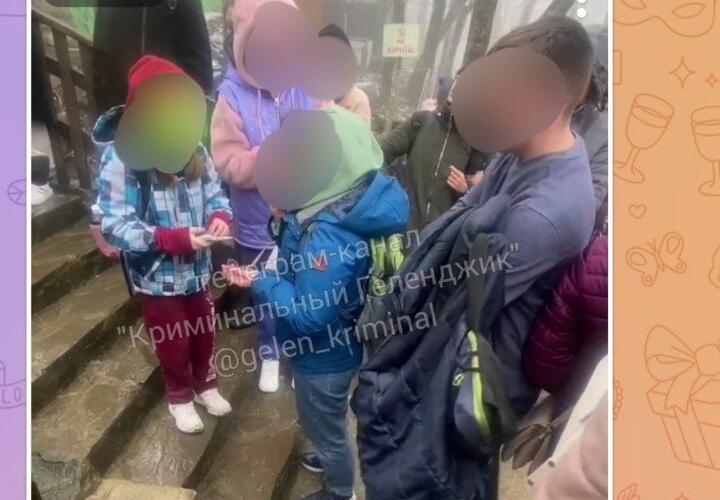 После драки в очереди в зоопарк в Геленджике полиция начала проверку