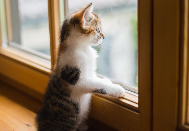 Последний день без ливней: какая погода будет на Кубани 20 марта