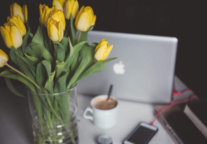 ПВО сбила 47 БПЛА ВСУ в 4-х областях России, а соцсеть Илона Маска «Х» запустит приложение для телевизоров: что произошло, пока вы спали