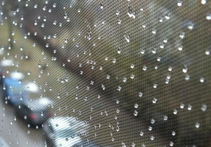 Туманы и дожди: синоптики рассказали о погоде на Кубани 15 марта