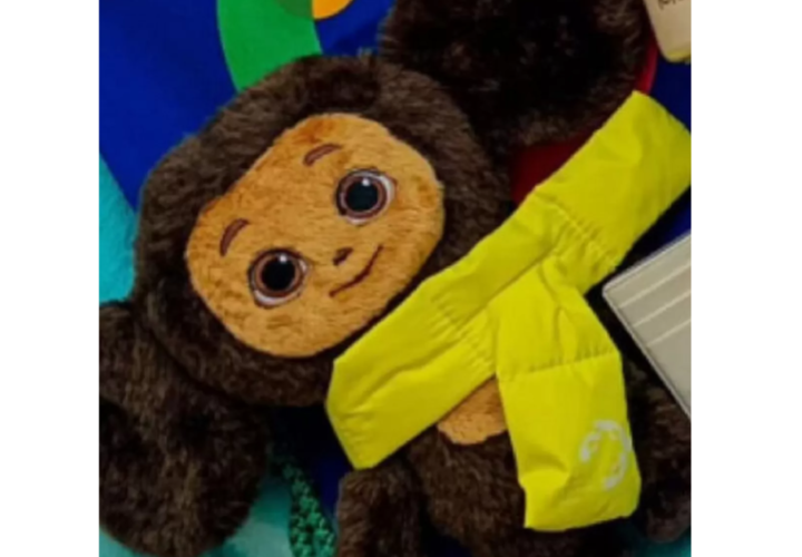 В Сочи продают Чебурашек, подаренных участникам молодежного фестиваля