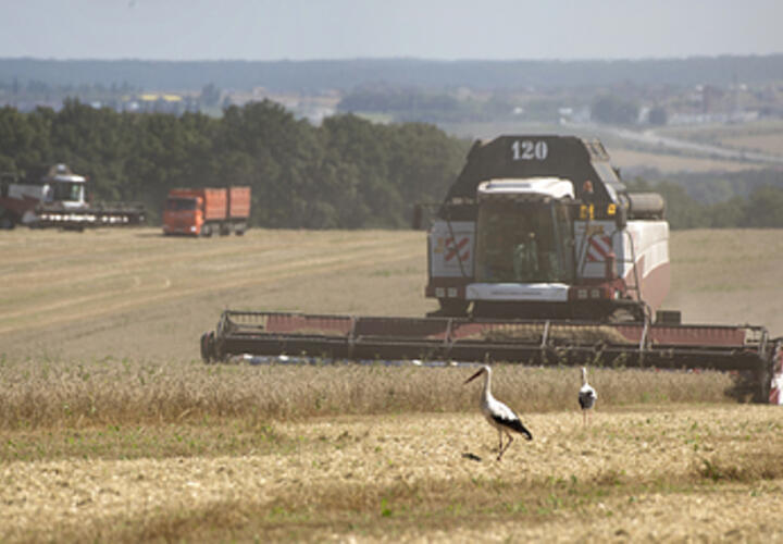 В Калининском районе Кубани станичник дважды продал одни и те же комбайны на 10,5 млн рублей