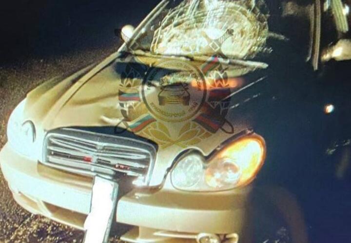 В Каневском районе Кубани женщину насмерть сбила иномарка