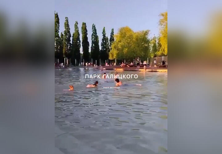 В парке Галицкого вновь заметили купающихся в фонтанах людей