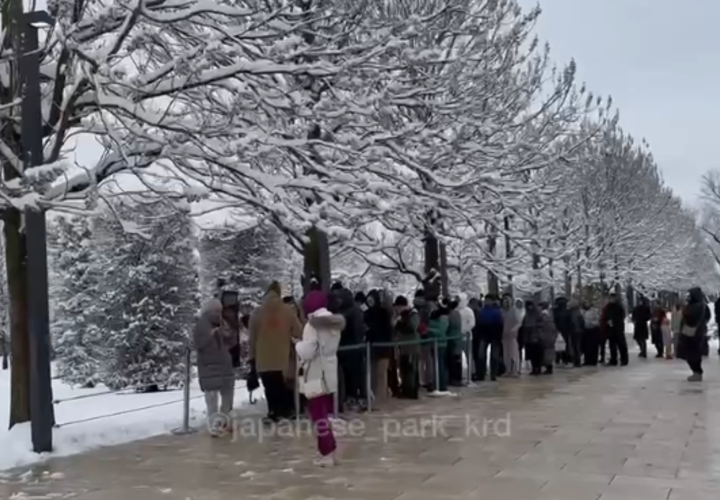 В парке Галицкого выстроились огромные очереди, чтобы увидеть Японский сад под снегом