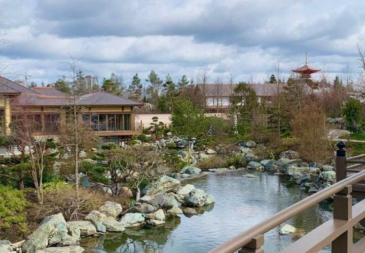Японский сад в парке Галицкого открыли для посещения без QR-кода