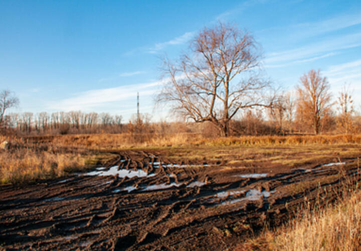 Житель Каневского района изготовил фальшивое постановление властей и стал хозяином земли в 1500 квадратных метров