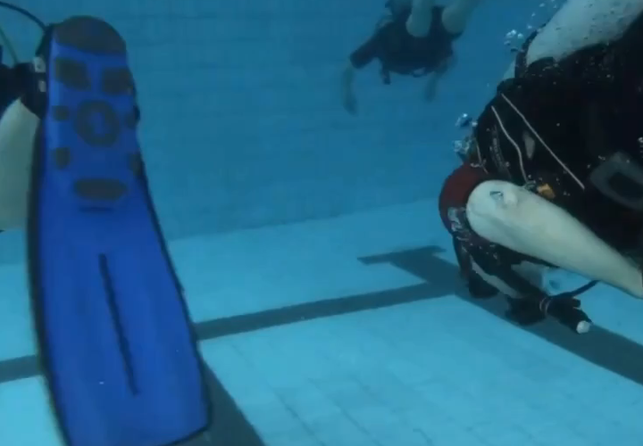 Зону для погружения с аквалангом хотят построить на Западном Обходе в Краснодаре