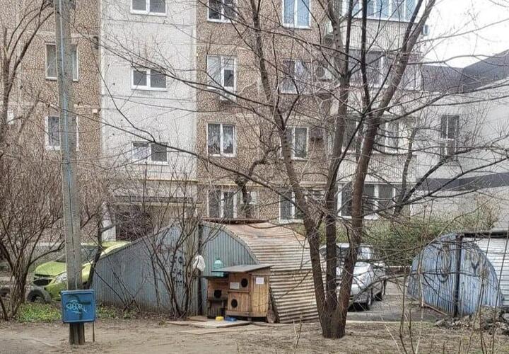 В ЮМР Краснодара зоозащитники построили «общежитие» для животных