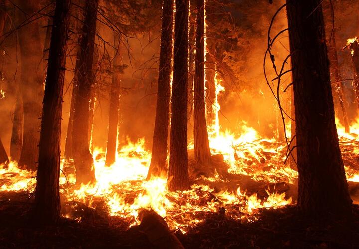 Берегитесь: высокая пожароопасность объявлена на территории Краснодарского края