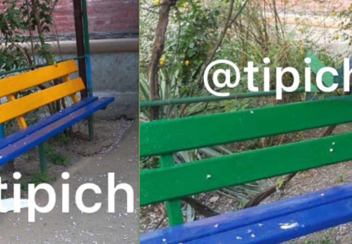 «Доходит до маразма»: в Краснодаре потребовали перекрасить провокационную лавочку