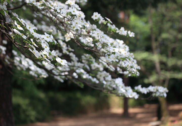 Какой будет погода на Кубани 20 апреля, рассказали синоптики