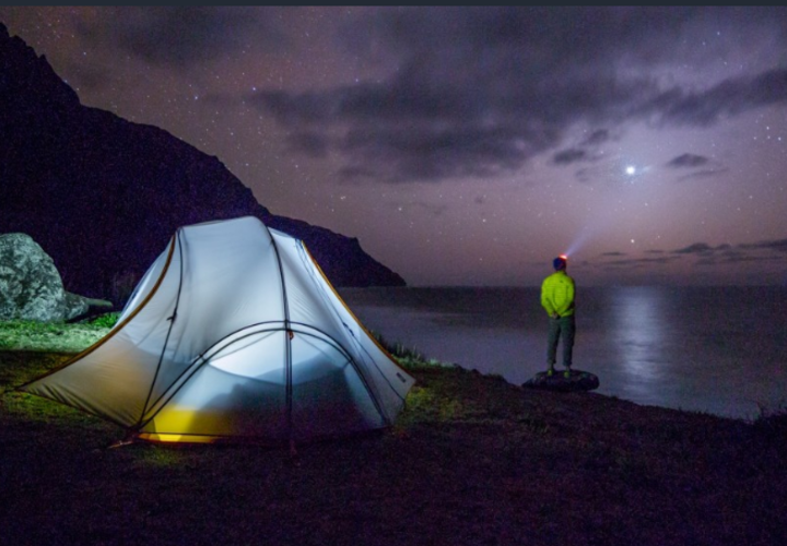 В регион приедут около 600 тысяч человек