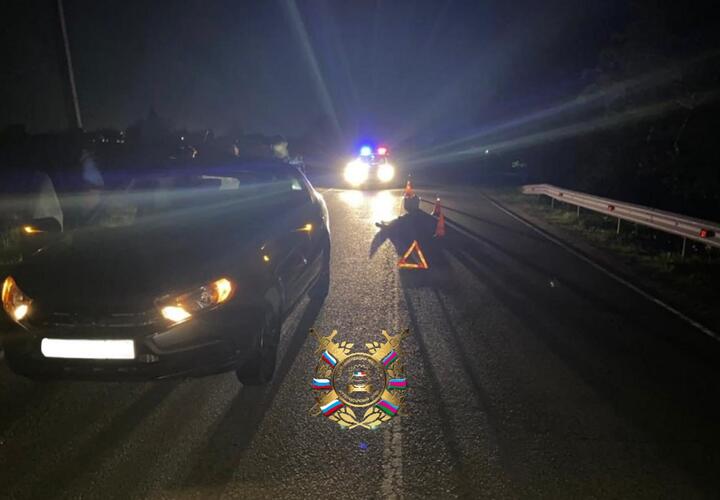 На Кубани «Лада» насмерть переехала лежавшего на дороге мужчину