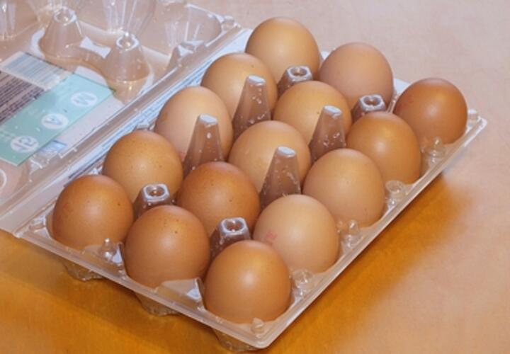 Необычные яйца с ядовито-ярким желтком завезли в Новороссийск