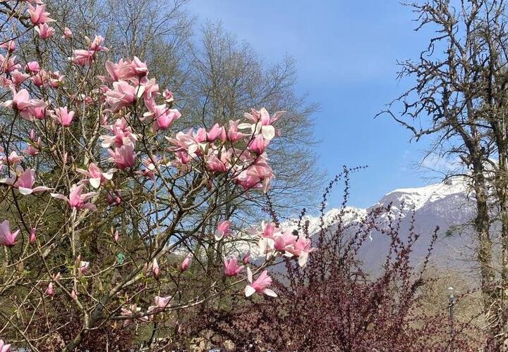 Несмотря на 30-градусную жару на Кубани, маршруты Кавказского заповедника закрыты из-за огромных сугробов