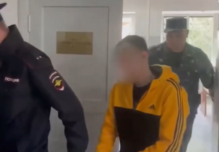 Опубликованы новые подробности дела о жестоком убийстве аниматоров из Усть-Лабинска