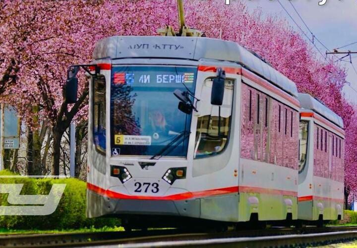 Несколько трамваев встали без движения в Краснодаре