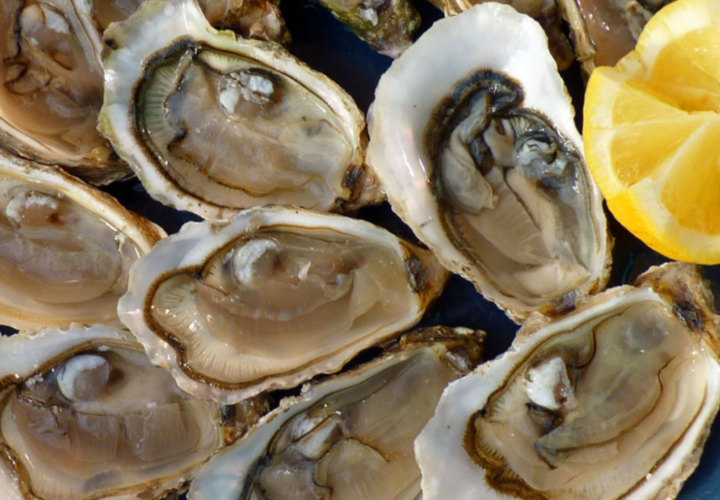 На Кубани в этом году произведут гораздо меньше мидий и устриц