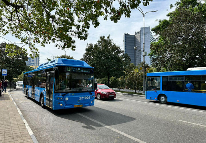С начала лета в Сочи автобусы между центром города и аэропортом будут ходить круглосуточно