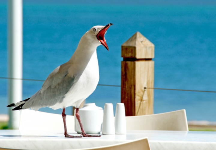 Антициклон остудит воздух