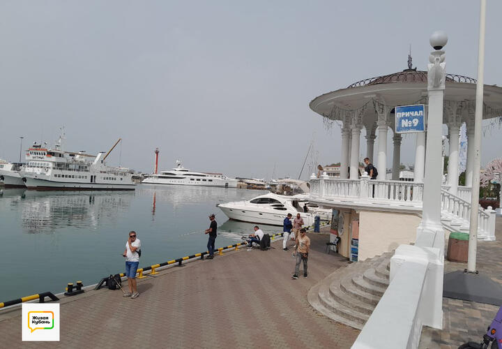 Сочи на любой бюджет: как существенно сэкономить на отдыхе на самом дорогом российском курорте