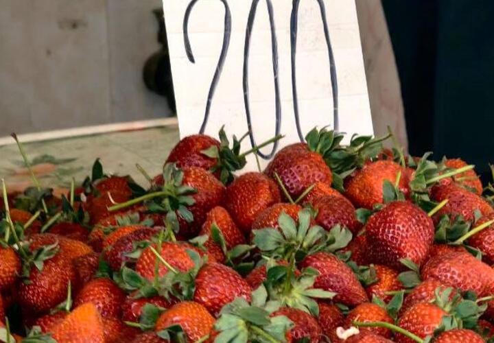 Стало известно, где самые низкие цены на клубнику в Краснодаре