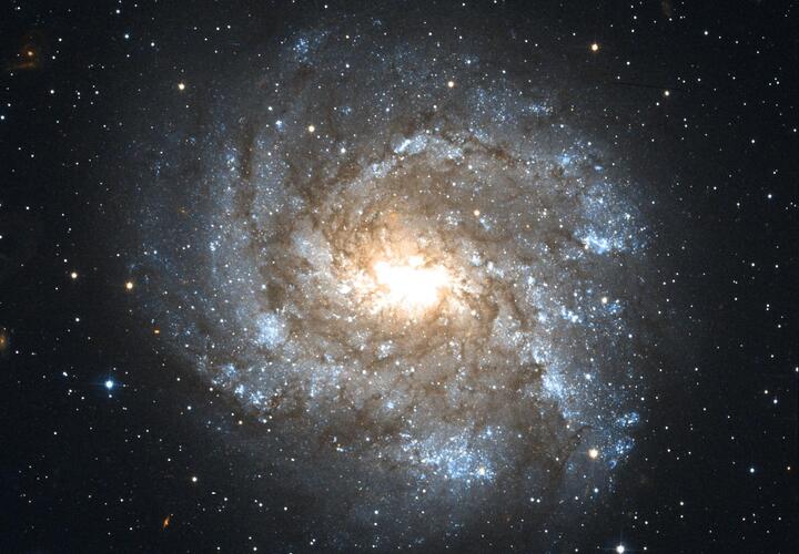 Тельцам не стоит рассказывать свои секреты, а Львов ответы ждут на поверхности