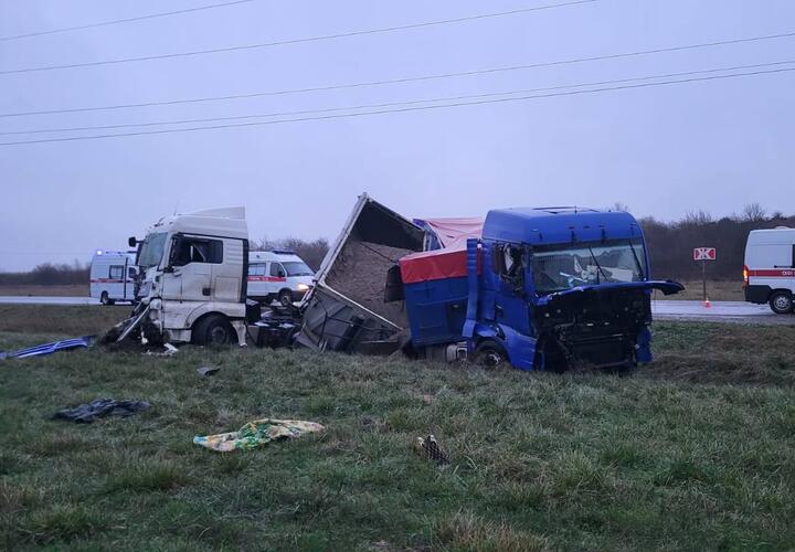 В Абинском районе Кубани произошла крупная авария с участием двух грузовиков и легковушки