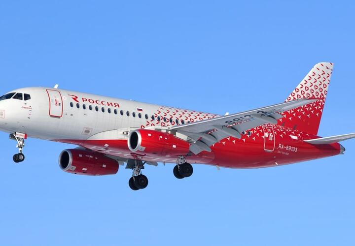 В двигатель самолета перед посадкой в Сочи попала чайка