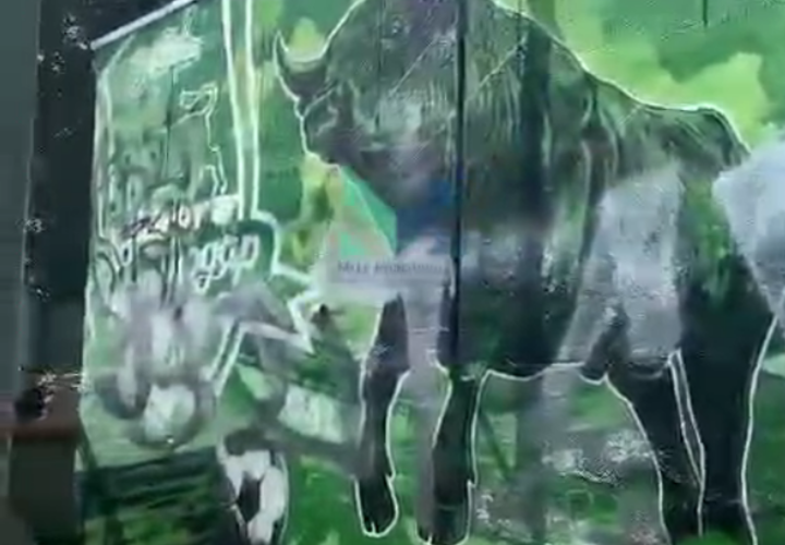 В Краснодаре ищут вандалов, которые испортили мурал, посвященный футбольному клубу