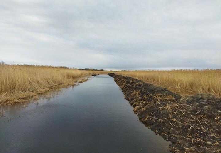 В Краснодарском крае планируют расчистить русла рек