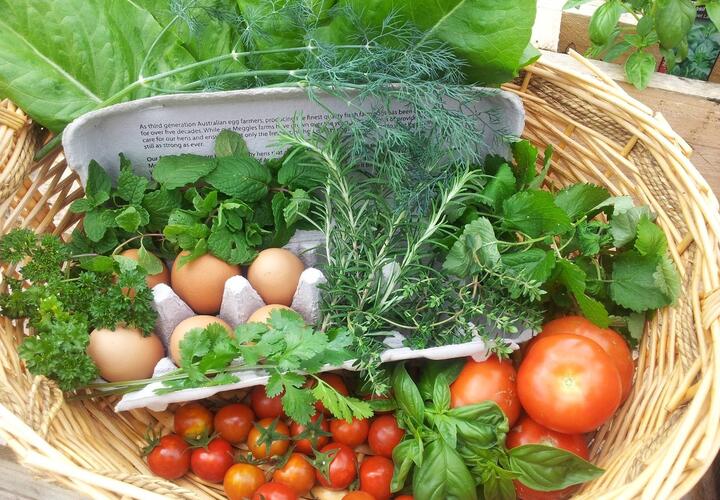 Ярмарки выходного дня перенесли на воскресенье в Краснодаре