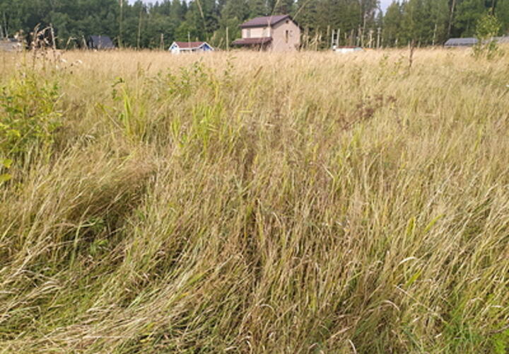 Жителей Краснодарского края предупредили о высокой пожароопасности