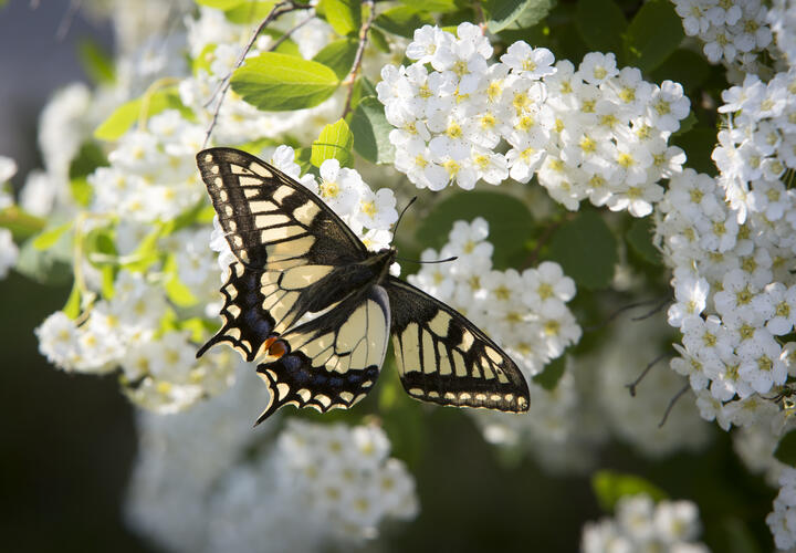 +30 градусов: какая погода будет на Кубани 24 мая