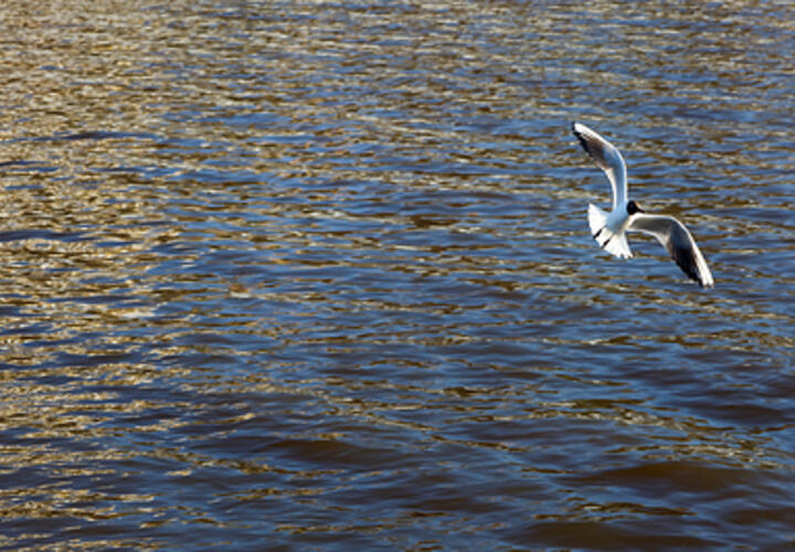 Объем воды планируют увеличить до 2,2 млрд кубометров