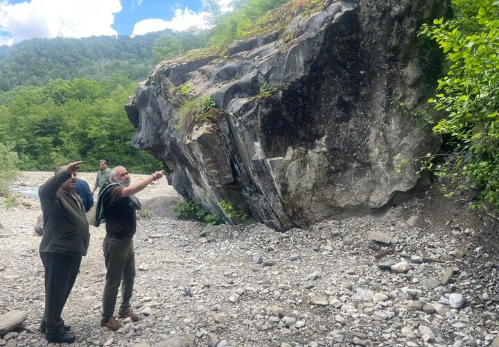 Художественный фильм будут снимать в сочинском Дендрарии