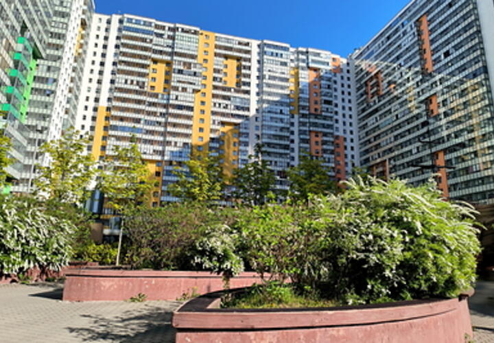 Квартиры в Сочи опять подорожали