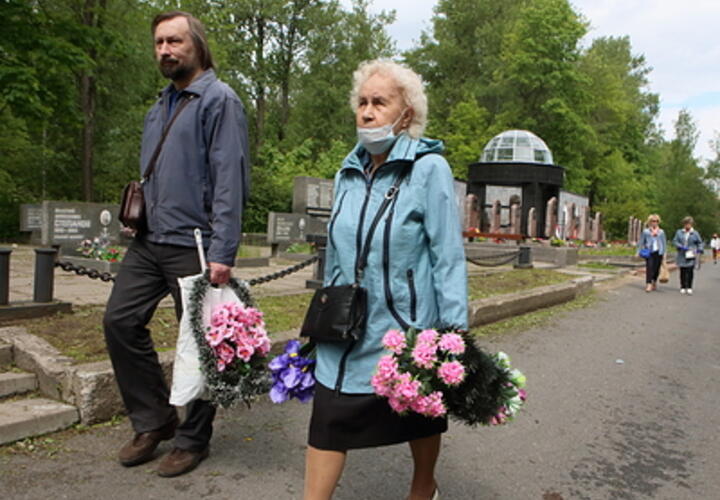 На Кубани запретили проезд на кладбище на автомобилях