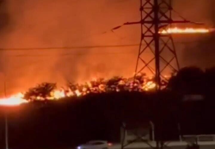 Пять часов тушили камыш в Кропоткине