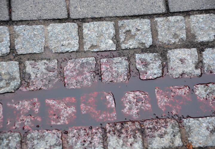 Смертельный выстрел в грудь: новороссиец убил своего знакомого